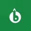 Brandwise Consultancy logo
